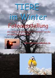 Tiere im Winter - 3.Ausstellung