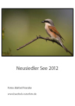 Kalender 2012 - Neusiedler See