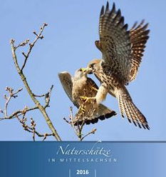 Kalender 2016 - Naturschätze in Mittelsachsen