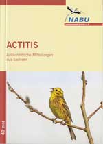 Actitis