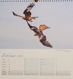 Kalender