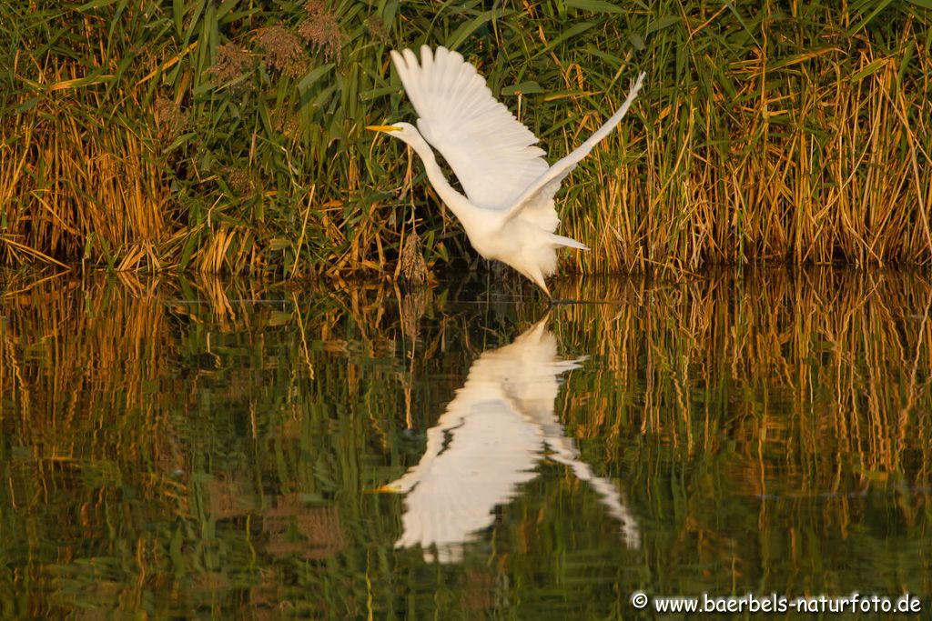 Abflug in der Morgensonne