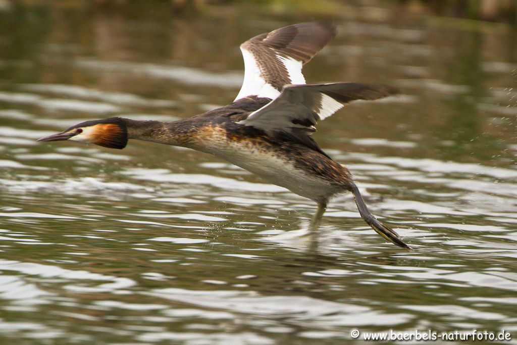 Vorbeiflug