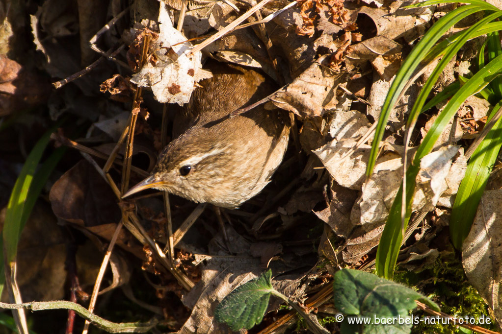 Blick aus dem fast fertigen Nest