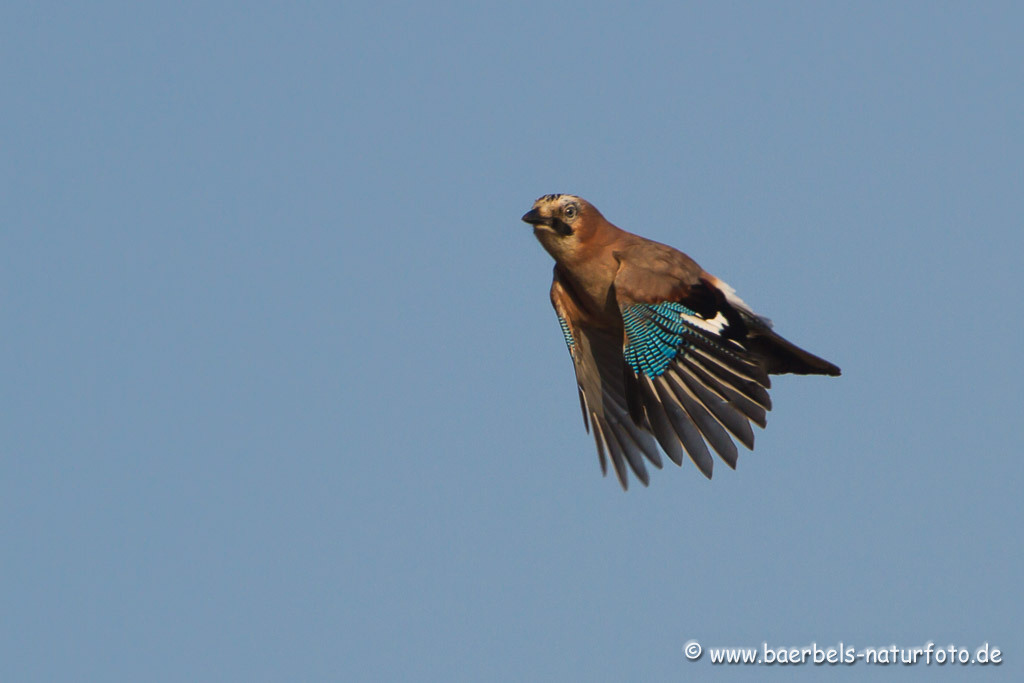 fliegt vorbei