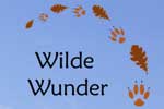Wilde Wunder